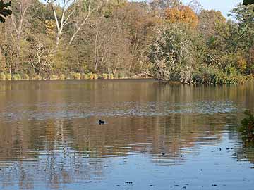 Trerichsweiher – Blick vom Südufer