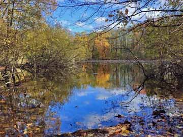 Leyenweiher
