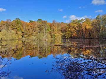 Leyenweiher