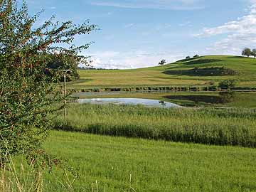 Wielandsee – Blick in den Ostteil des Wielandsees