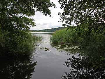 Argensee – südlicher Überlauf zum Wuhrmühleweiher