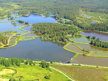 Tirschenreuther Teichpfanne – Teichlandschaft Höhe Himmelsleiter