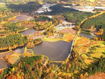 Tirschenreuther Teichpfanne – Blick von Westen auf die Teichlandschaft