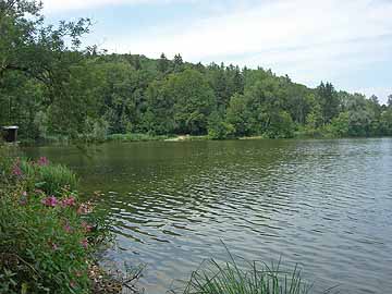 Stadtweiher – Blick in den westlichen Seebereich