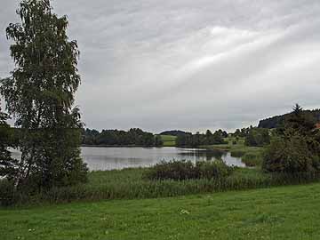 Ellerazhofer Weiher – südlicher Seebereich