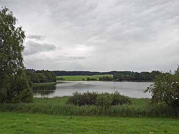 Ellerazhofer Weiher – südlicher Seebereich
