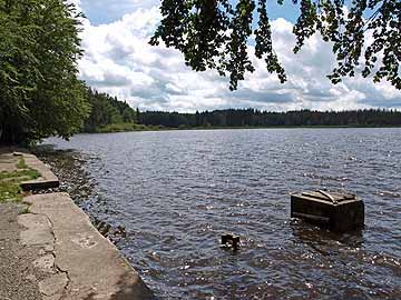 Holzmühleweiher – Blick entlang des Ostufers