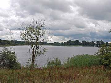 Metzisweiler Weiher – Blick aus Norden