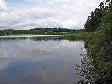 Metzisweiler Weiher – südlicher Seebereich