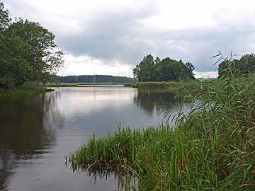 Rohrsee – südliche Bucht Höhe Rohr