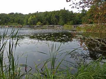 Küchenteich – Hausboote am Nordufer des Sees