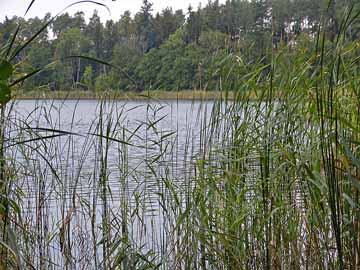 Mittlerer Dolgensee – Blick vom Ostufer des Dolgensees