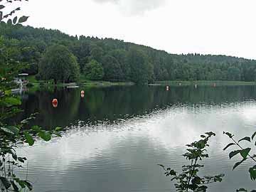 Flappachweiher – Blick vom Nordufer