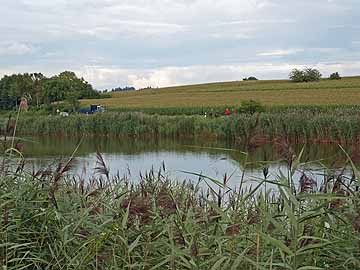 Bifangweiher – Blick vom Westufer