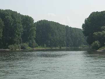 Sieg – Rheinmündung bei Bergheim