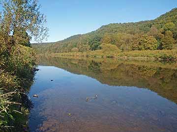 Sieg – Bereich oberhalb Stromberg