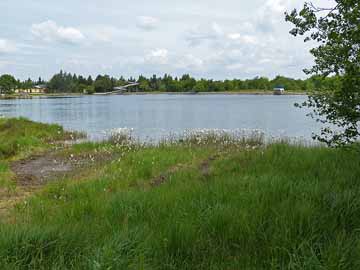 Kleiner Galgenteich – Blick aus südlicher Richtung