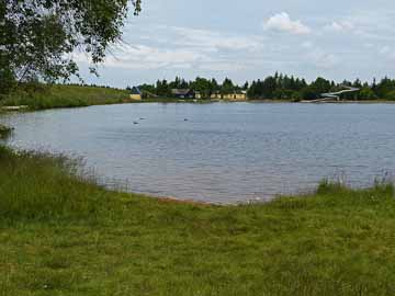 Kleiner Galgenteich – Blick über den See in Süd-Nord-Richtung