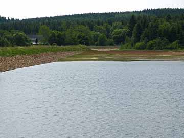 Großer Galgenteich – Blick in die südöstliche Bucht Ende Juni 2015