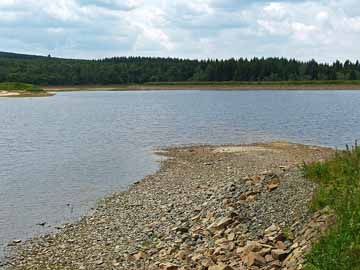 Großer Galgenteich – Blick vom Nordufer Richtung Insel