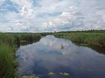 Federsee – Einlaufbereich Federseekanal im Südwesten