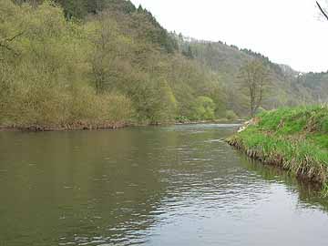 Wied – Strecke zwischen Kodden und Oberhoppen