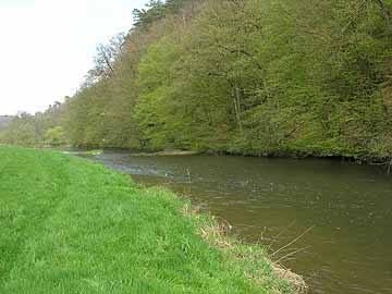 Wied – Strecke zwischen Kodden und Oberhoppen