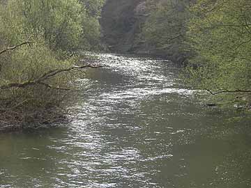 Wied – Strecke ab Wiedmühle