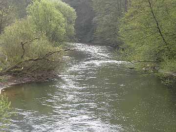 Wied – Strecke ab Wiedmühle