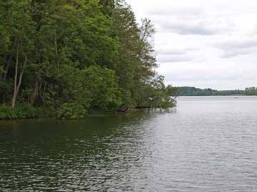 Höftsee – Uferstrukturen am Übergang Behler See / Höftsee