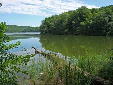 Ukleisee – Blick vom Westufer in den südlichen Teil des Sees