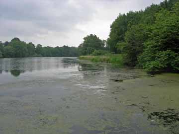 Rosensee – Höhe Brücke B 202, Blick Richtung Süden
