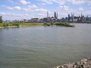 Ölhafen – Vorbecken, Blick auf den Rhein