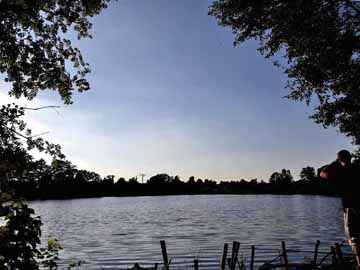Brettmühlenteich – Sommerabend am Brettmühlenteich