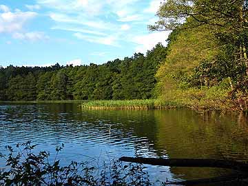 Tholmannsee