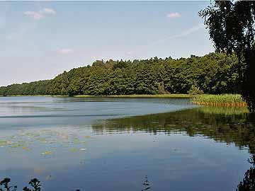 Tholmannsee – Tholmannsee im Sommer 2007