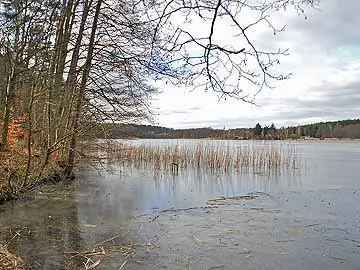 Bikowsee – Bikowsee im Februar 2011