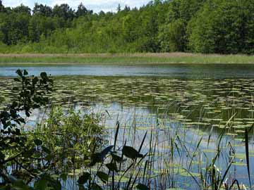 Großer Heegesee