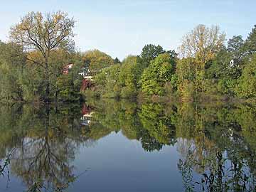 Diescholl – Altarm westlich der Brücke L269