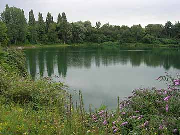 Albertussee