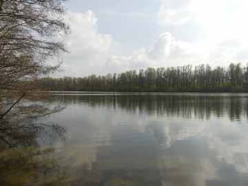 Menzelsee – Aufnahme Höhe Aussichtspunkt am Nordufer