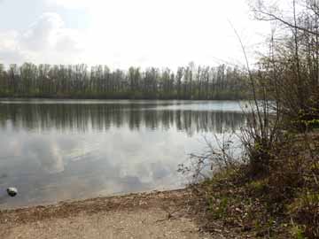 Menzelsee – Höhe Aussichtspunkt, Blick in den westlichen Seebereich