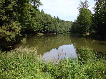 Hardtweiher