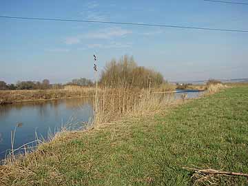 Nahe – unterhalb der Brücke KH-Ost