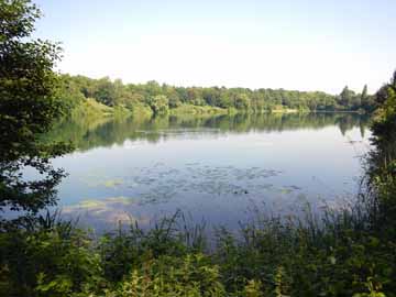 Autobahnweiher – Blick vom Südufer über den Autobahnweiher