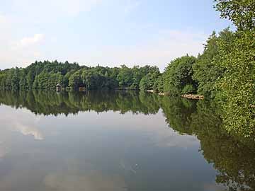 Saaler Mühlenteich – Blick auf das nordöstliche Ufer