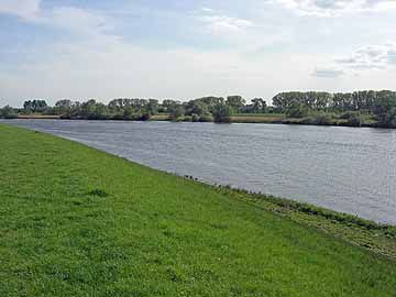 Elbe – Blick vom östl. Deich Höhe Spadenland