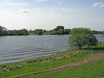 Elbe – Blick vom Ostdeich