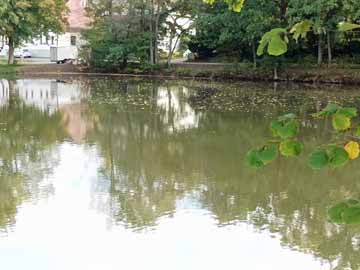 Berghäuser Weiher