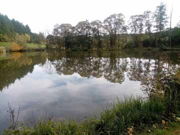 Robertsweiher – Blick vom Westufer über den Weiher